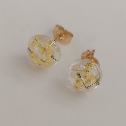 Gold color real yellow and white flowers earrings