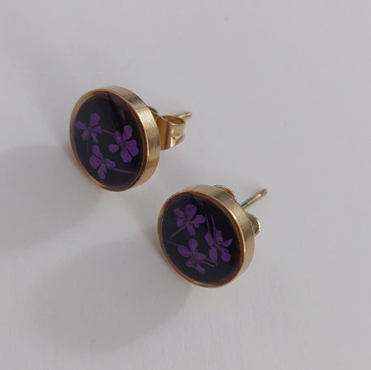 Stud earrings purple color