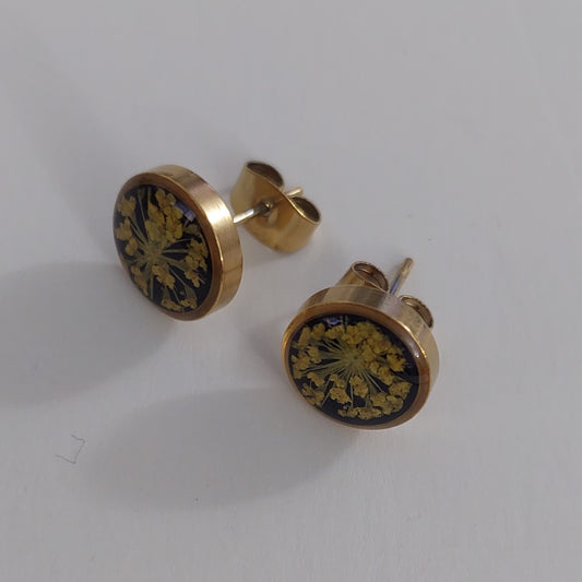 Stud earrings yellow color